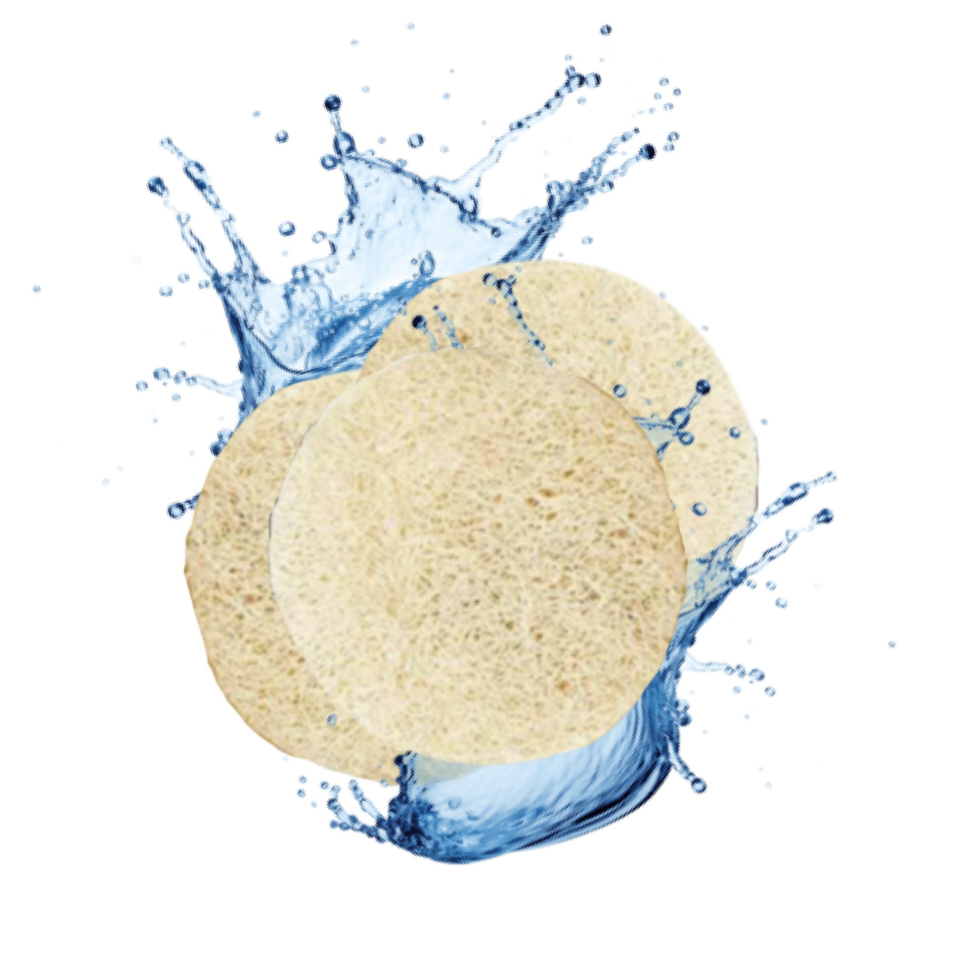 Tropical Complexion Disk