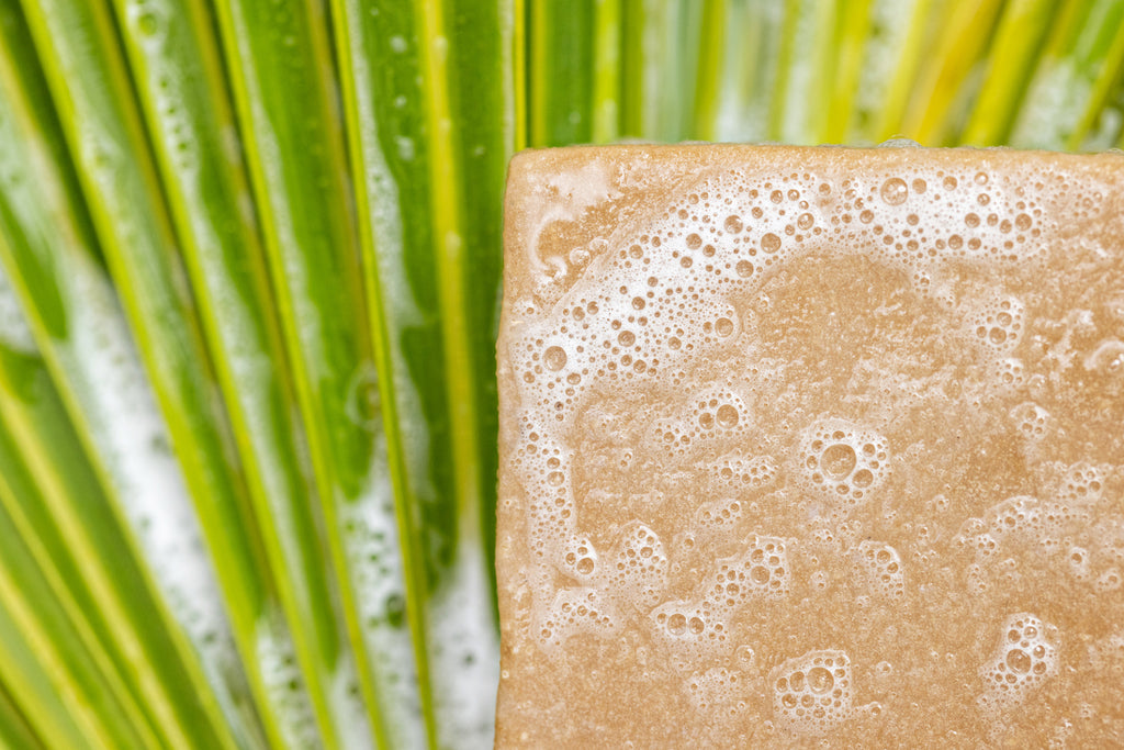 Sea Moss Bar | Sea Moss Facial Bar | Pure Tropix