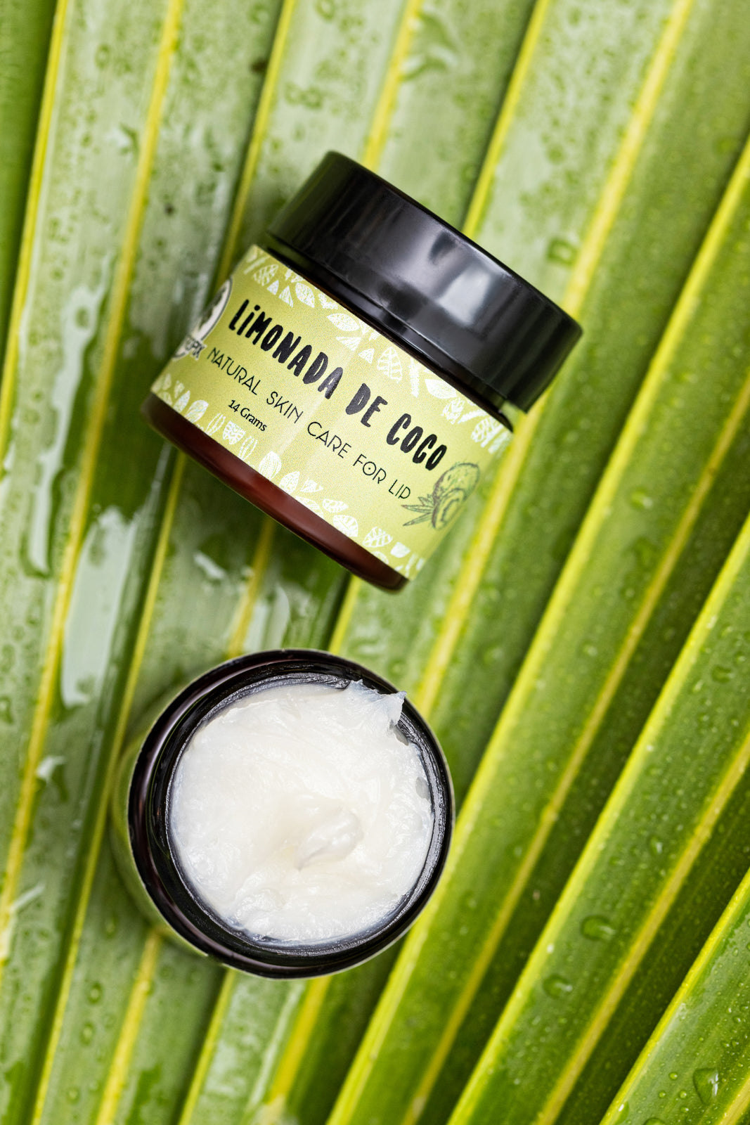 Coco Lip Balm | Natural Lip Balm | Pure Tropix